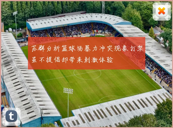 苏群分析篮球场暴力冲突现象打架虽不提倡却带来刺激体验