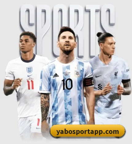每个板块围绕一个运动项目展开(YaboSports)